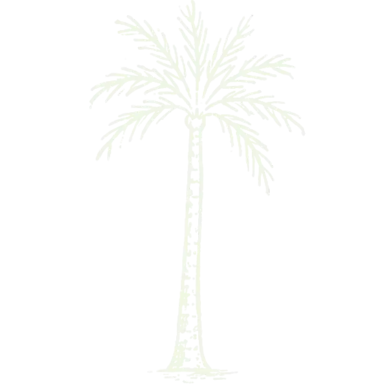 Palm